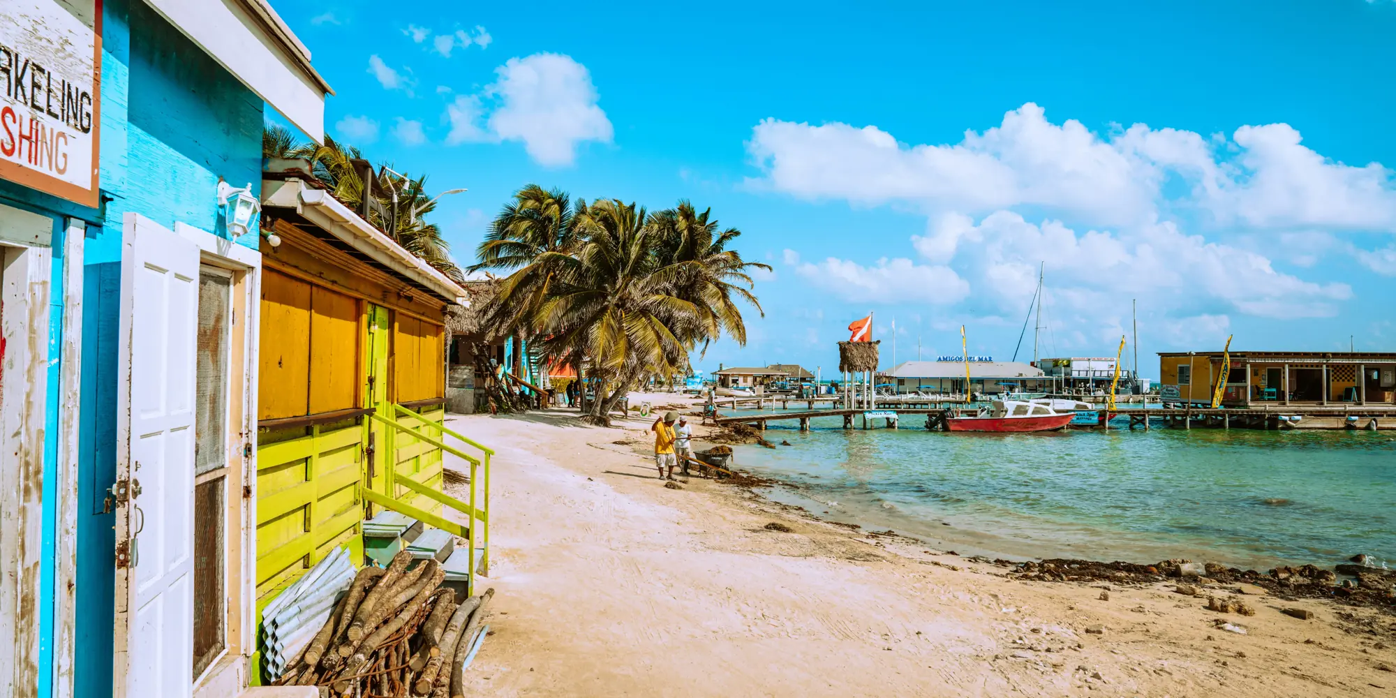 Belize tauchen mit haien häuser am strand
