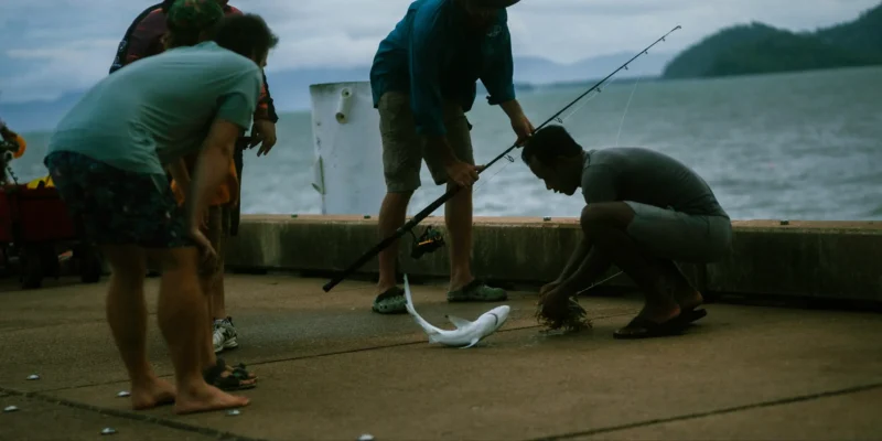 Catch and release shark fishing in Florida