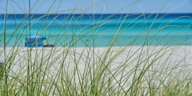 Panama City blick auf Strand und Meer durch Gras