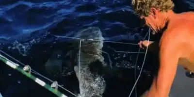 Trump begnadigt zwei taucher florida 19 haie von langleinen befreiten wegen diebstahls