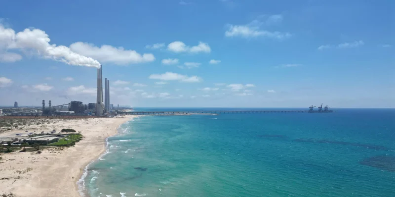 Hadera Israel power plant shark attack