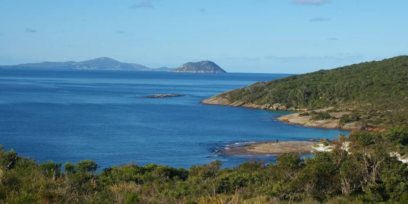 Shark attack near Michaelmas Island, Australia