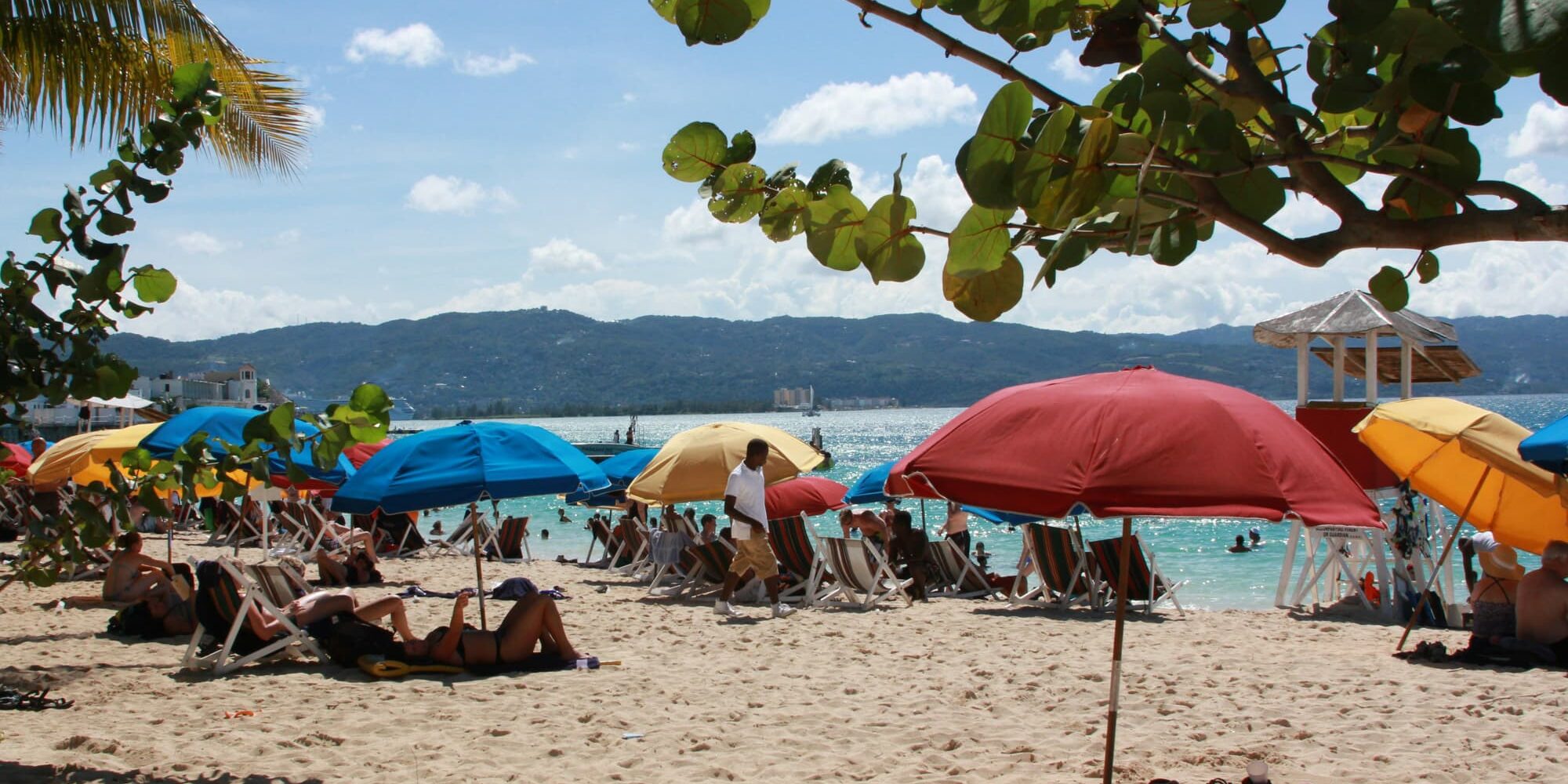 Montego bay jamaica riffhai beisst britin finger ab