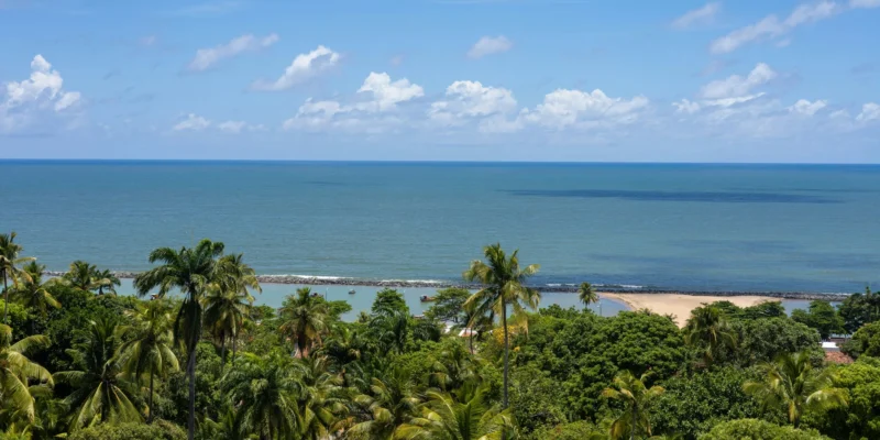 Boa Viagem Brasilien Strand mit Palmen