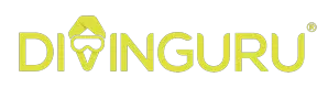 Divinguru sri lanka logo