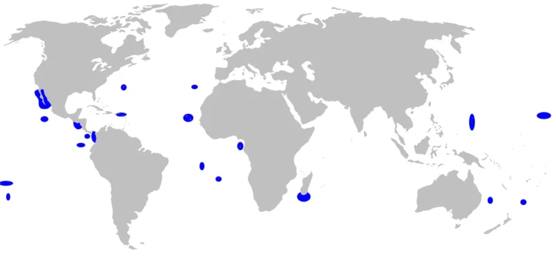 Galapagoshai Carcharhinus galapagensis Verbreitungskarte