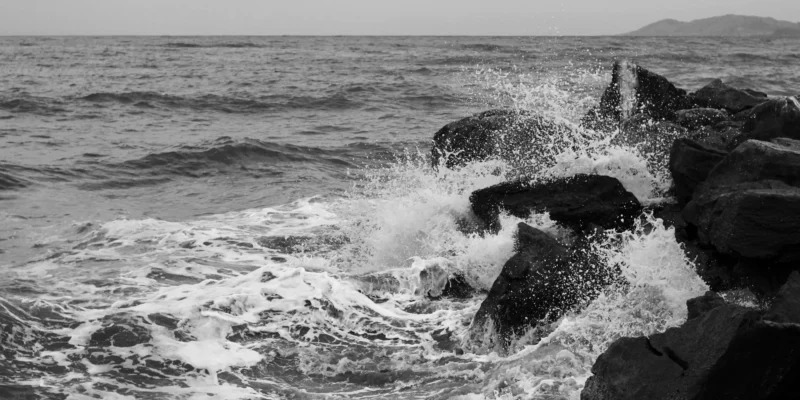 Haiangriff tourist stirbt in ixtapa zihuatanejo mexiko