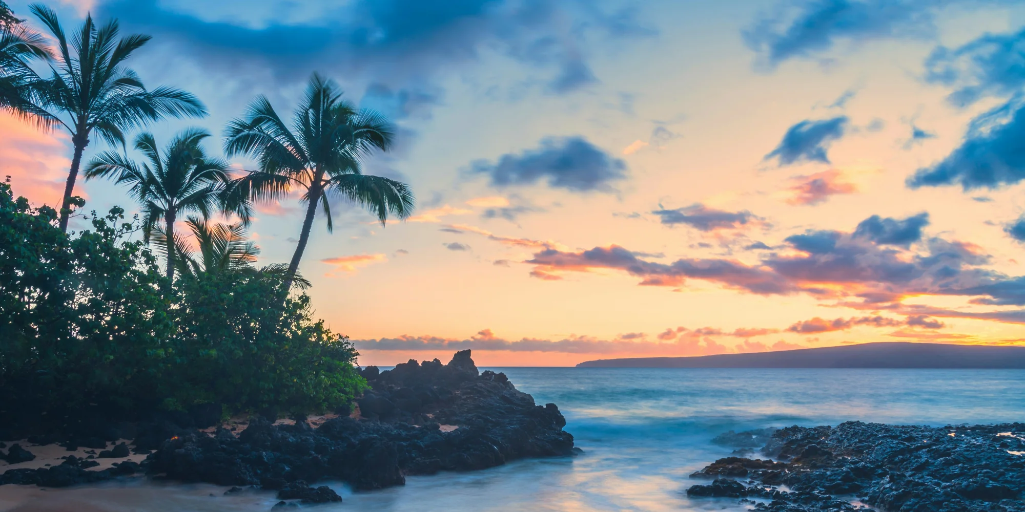 Hawaii strand mit palmen tauchen mit haien