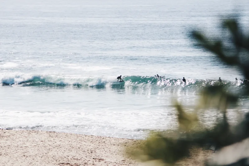Montara State Beach San Francisco surfer California USA