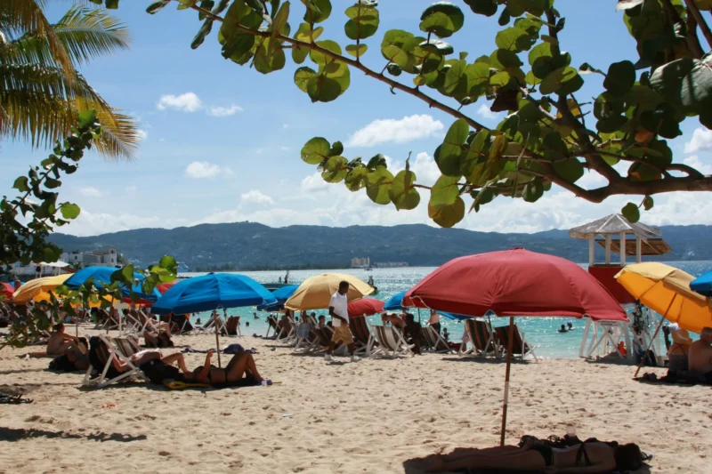 Montego Bay Jamaica reef shark bites off British woman's finger
