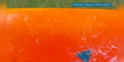 Nahaufnahme eines orangefarbenen Surfbretts mit mutmaßlichen Zahnspuren nach Tigerhai-Begegnung vor Ala Moana