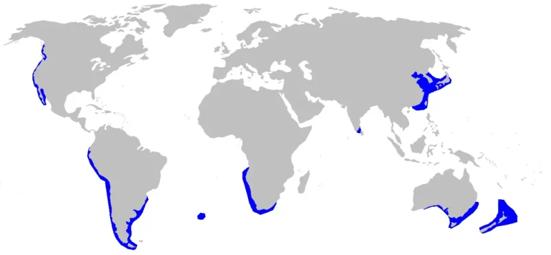 Breedneus-zevenkieuwshaai Notorynchus cepedianus verspreidingskaart