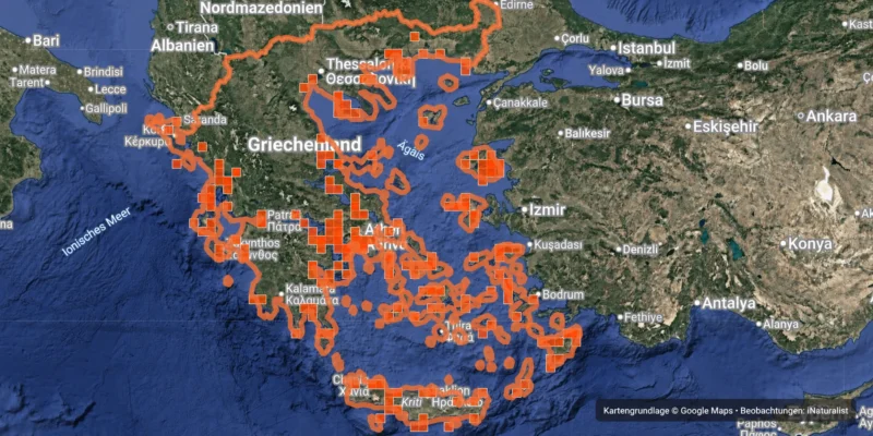 iNaturalist-Karte mit gemeldeten Hai-Beobachtungen rund um Griechenland