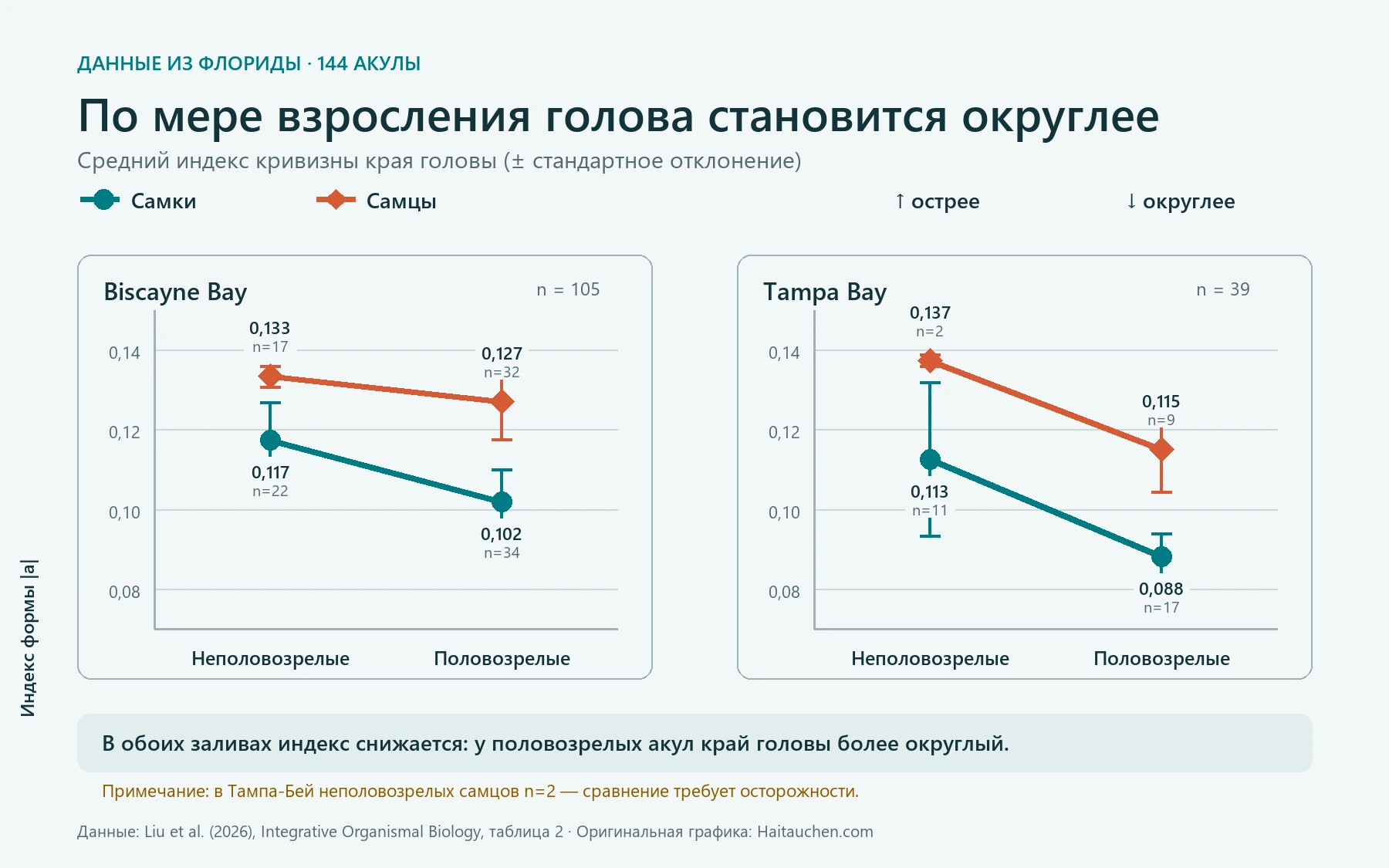Линейный график индекса формы головы акул-тибуро: у половозрелых самок и самцов в заливах Бискейн и Тампа значения ниже, что указывает на более округлую голову.
