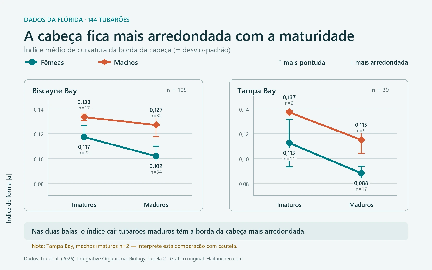 Gráfico do índice de formato da cabeça: os valores são menores em fêmeas e machos maduros de Biscayne Bay e Tampa Bay, indicando cabeças mais arredondadas.