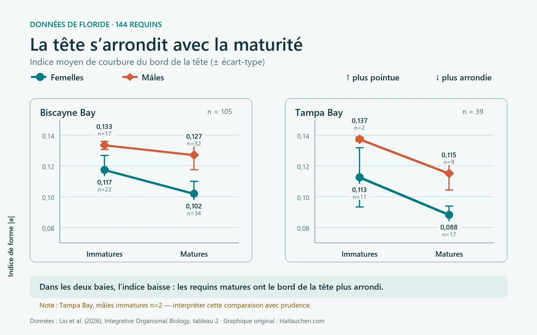 Graphique de l’indice de forme de la tête : les valeurs sont plus faibles chez les femelles et les mâles matures dans les baies de Biscayne et de Tampa, indiquant une tête plus arrondie.