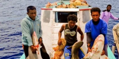 Fischer mit gefangenen Haien auf einem Boot in indonesischen Gewässern