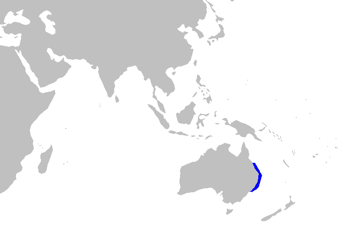 Verbreitungskarte des Kamm-Stierkopfhais (Heterodontus galeatus) an Australiens Ostküste