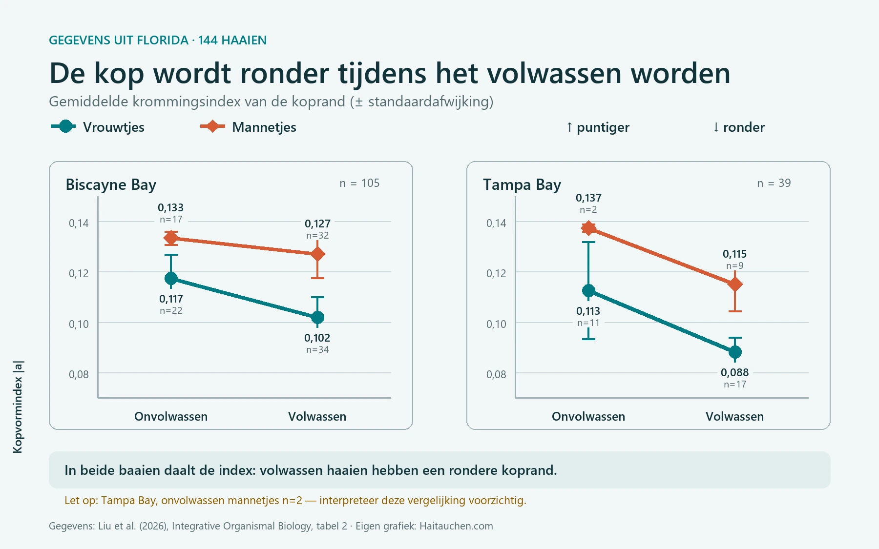 Lijngrafiek van de kopvormindex: bij volwassen vrouwtjes en mannetjes in Biscayne Bay en Tampa Bay zijn de waarden lager, wat op rondere koppen wijst.