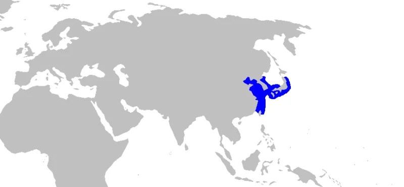 Mapa de distribuição do tubarão-anjo-japonês Squatina japonica
