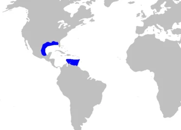 Mappa di distribuzione dello squalo porco dei Caraibi Oxynotus caribbaeus
