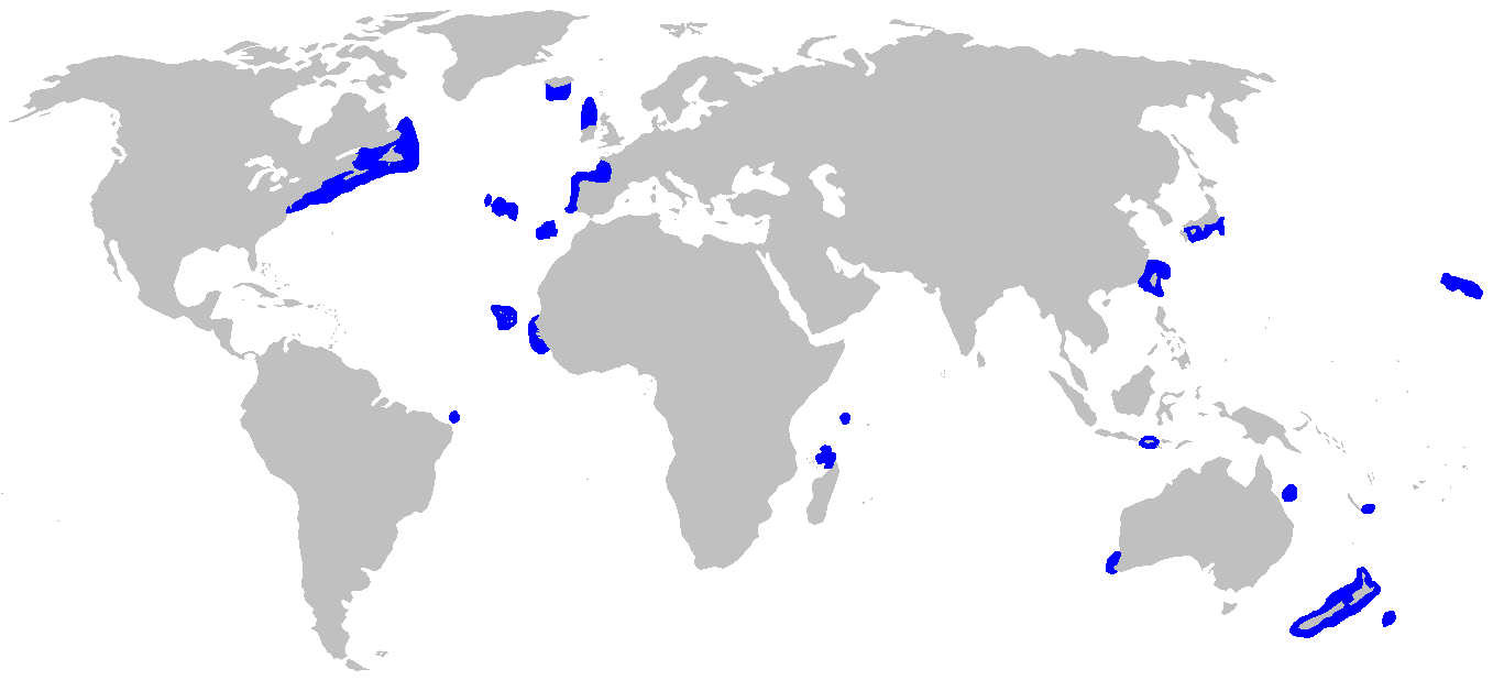 Carte de répartition de Pseudotriakis microdon