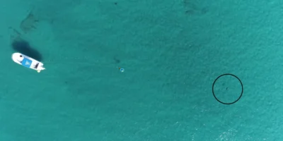 Drohnenaufnahme des Versuchsaufbaus vor Florida mit Boot, Unterwasserlautsprecher und einem schwarz eingekreisten Hai.