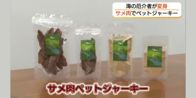Vier Verpackungen mit Haifleisch-Snacks aus Chizu, als getrocknete Stücke und Pulver, im TSK/FNN-Beitrag